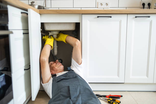  Berkeley, IL Plumbing Pros