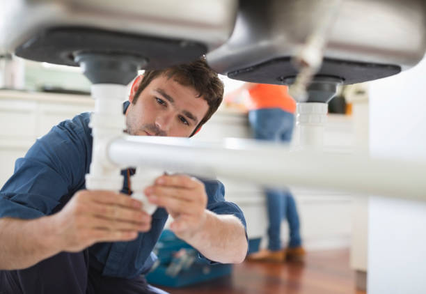  Berkeley, IL Plumbing Pros